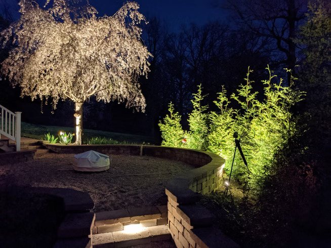 Uplighted weeping tree and garden wall with outdoor lighting